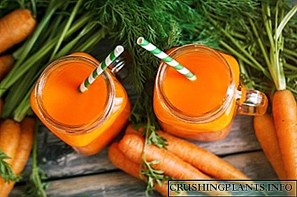 Kedu ihe bụ vitamin na carrots na etu ọ bara uru