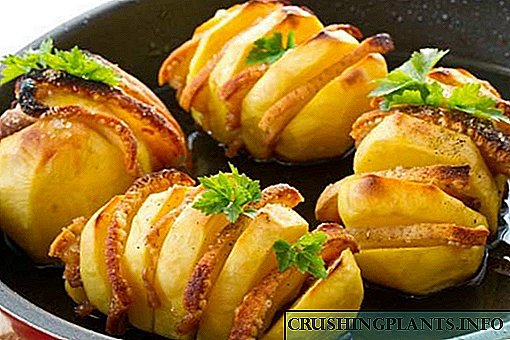 Labea patata patata - sukaldaritza errezeta gozoak