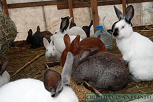 Соединение добиточна храна за зајаци
