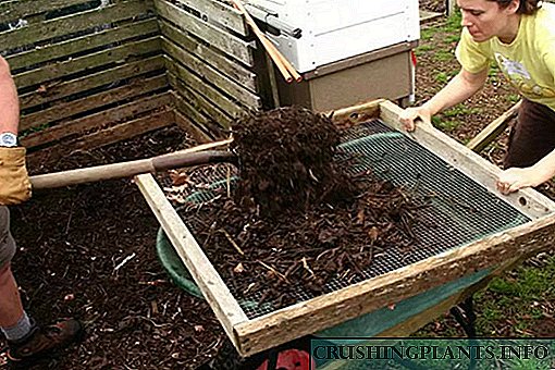 Shaxsiy uchastkangizdan kompost - foydali xususiyatlari va ilovalari