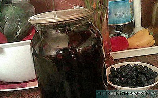 Compote Blueberry: vitamin dina jar