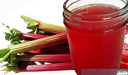 Rhubarb compote: ọbụna herbaceous osisi nwere ike adabara