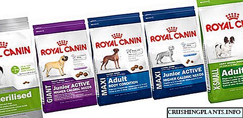 Baris feed Royal Canin kanggo asu lan cara milih pilihan sing bener