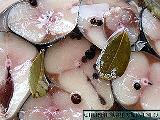 Resep pangsaéna sareng basajan pikeun asin dina mackerel di bumi