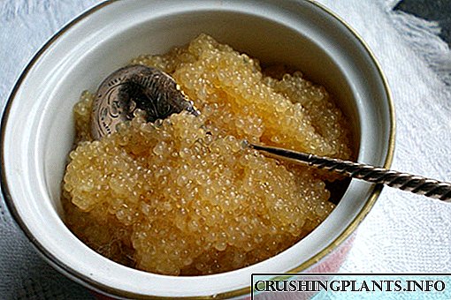 Recipes perfricatióne reparéntur impuneque seligit simplex summo caviar