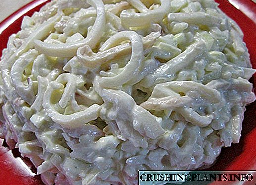 Ang labing kaayo nga mga resipe nga salad sa squid