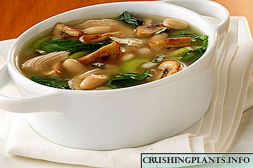 Најдобри рецепти за свежа супа од печурки и компири