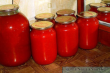 Ang pinakamahusay na mga recipe para sa tomato juice sa pamamagitan ng isang gilingan ng karne para sa taglamig