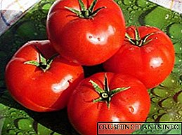 Varieti pangsaéna tina tomat anu diterangkeun ku poto sareng déskripsi