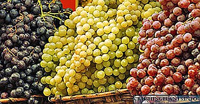Varieteteve më të mira të rrushit për treg