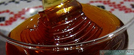 Коријандер мед - сладост и опасност во зачинетиот вкус на Истокот