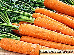 Моркови - лек за сто болести