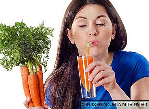 Сокот од морков е добар за здравјето, но може да биде штетен