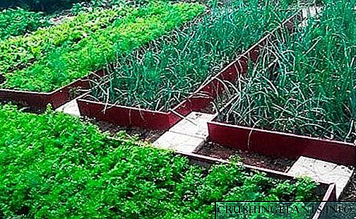 Irresistible deseño dunha parcela de xardín con camas galvanizadas