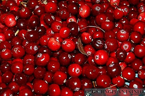 Dwar il-benefiċċji tal-cranberries