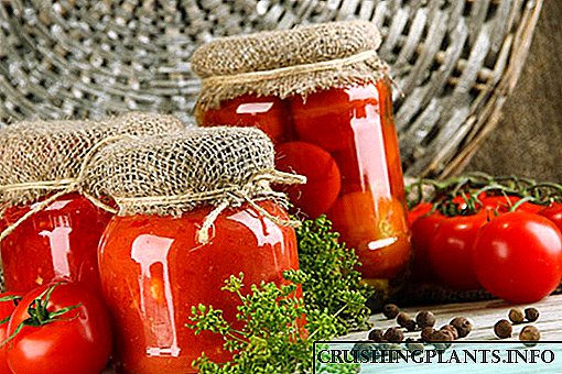Gitt sécher déi konservéiert Varietéiten vun Tomaten op der Plot
