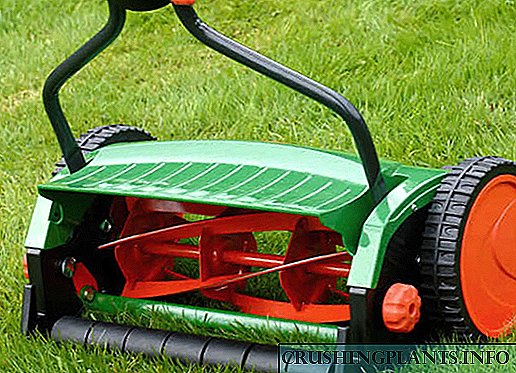 Pangkalahatang-ideya ng mga mechanical mower lawn