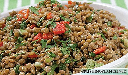Resep lentil asli