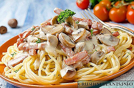 Оригинални рецепти за тестенини од италијански стил со печурки