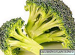 Vipengele vya kabichi ya broccoli inayokua