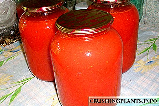 Ano ang resipe para sa paggawa ng tomato juice para sa taglamig, na may lamang salaan?