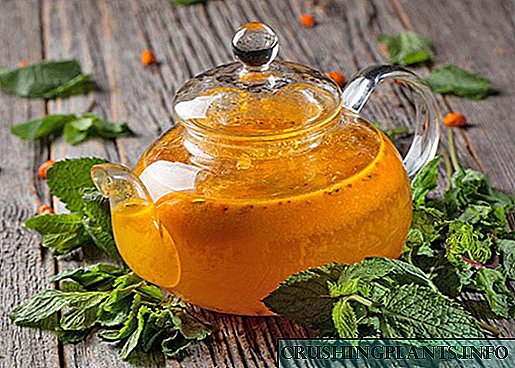Korisna svojstva i recepti za pravljenje zadivljujućeg čaja od heljde