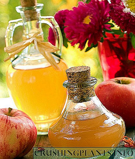Придобивките и штетите на природниот јаболков оцет