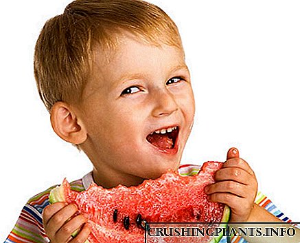 Придобивки и штети од пиење лубеница