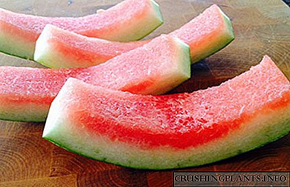 Prednosti i štete jesti koru lubenice