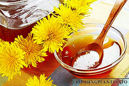 فواید و مضرات مصرف عسل قاصدک