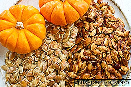 Beneficios e prexuízos de comer sementes de cabaza