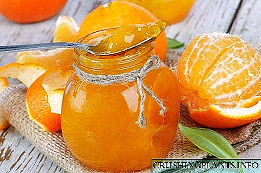 Популарни рецепти со фотографии од џем од портокали