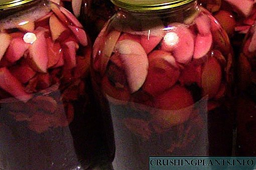 Inuman anu populér pikeun usum tiis: pir sareng compum plum