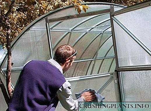 Правила за обработка на пролетна стаклена градина од витриол пред садење садници