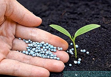 O uso de fertilizantes fósforo-potásico para alimentar flores