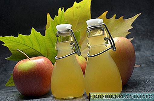 D'Benotzung vun Apfel Esseg am Alldag, Kosmetologie a Behandlung