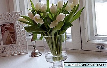 Zgjatni jetën e një tufë lulesh tulips në një vazo