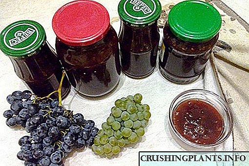 Jednostavni recepti za džem od grožđa kod kuće