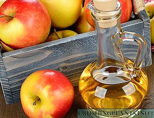 Sauƙaƙe girke-girke na yin apple cider vinegar a gida