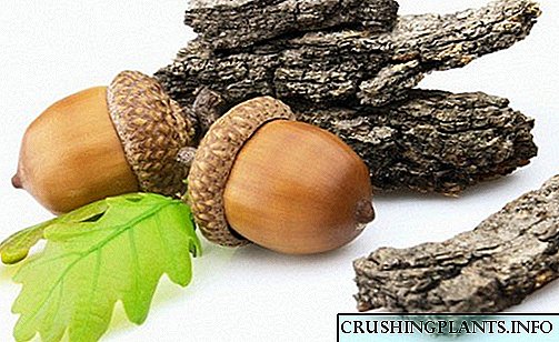 Resep sederhana kanggo nggunakake kulit kayu oak kanggo masalah kesehatan