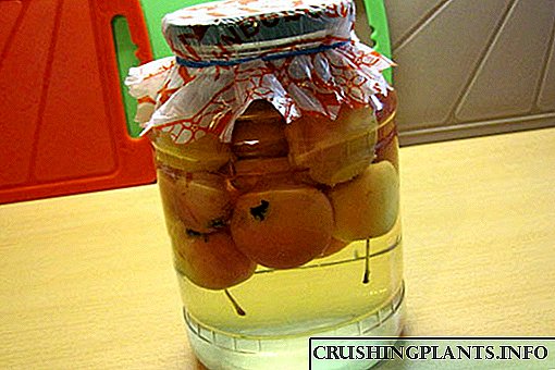 Ngombe swarga utawa resep kanggo kompote buah rebus musim sejuk