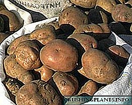 Beda karo cara kanggo nyimpen kentang suwe