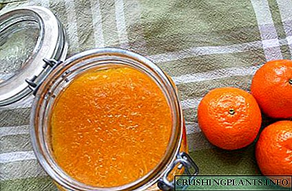 A receita para a marmelada de mandarina