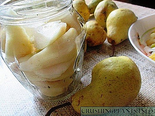 រូបមន្តផ្លែឈើរដូវរងា: pears canning នៅក្នុងទឹកផ្ទាល់ខ្លួន។