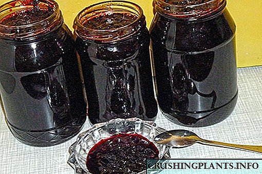Өз ширесинде кышкы Blueberries үчүн Каннинг Recipes