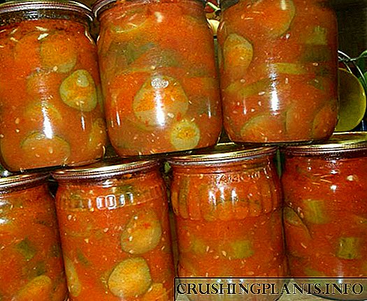 Napanatili para sa taglamig: mga pipino sa tomato juice