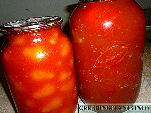 Gilos pomidorini o'z sharbatida konservalash uchun retseptlar