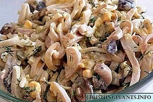Recipes for mushroom salads with squid: faʻafaigofie faigofie ma fesiitaiga filifiliga