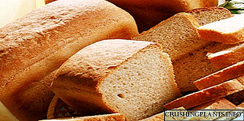 Receta të bukës së grurit të bërë në shtëpi