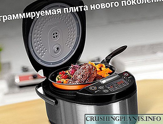 Culina appliances - multivarka REDMOND de Sina